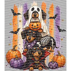 Halloween-WS 11985
